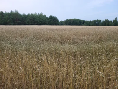 Chlopakizdzialeczek - Myślisz, że najgorsze to to, że jutro poniedziałek?
Popatrz na ...