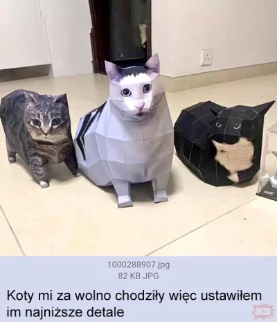 enforcer - #pasjonaciubogiegozartu #koty #smiesznekotki