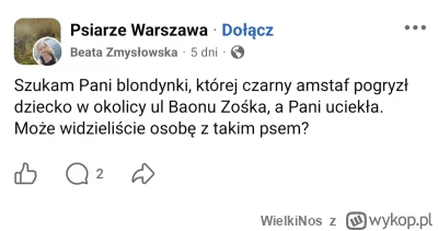 WielkiNos - Znowu rodzinny amstaff stworzony do niańczenia dzieci jakieś pogryzł. Kto...
