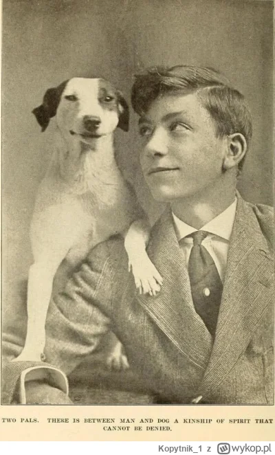 Kopytnik1 - #przegryw #psy

Zdjęcie przodka @lvbieplacki i jego Pimpka.