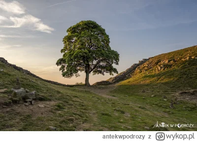antekwpodrozy - Tak byłem :)