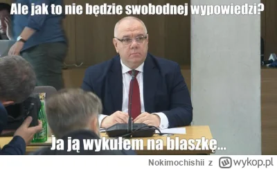 Nokimochishii - #sejm