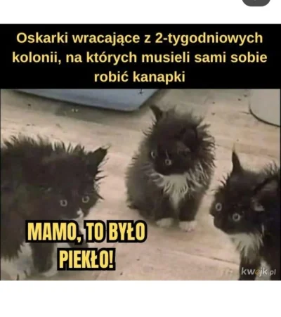 pieselek7q7q717 - Ciężkie życie oskiego .....

#heheszki #humorobrazkowy