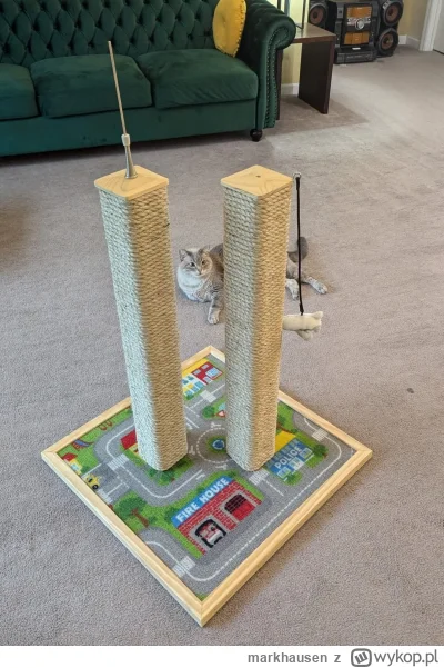 markhausen - #koty #humorobrazkowy #heheszki