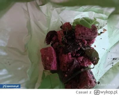 Casuel - Uważajcie w Poznaniu, jakis psiegryw rozrzuca trutkę na północy. Ludzie boją...