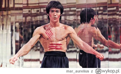 mar_aurelius - #wladcapierscieni w ogóle 23:40 na TVN7 wchodzi prawdziwy kozak, jego ...