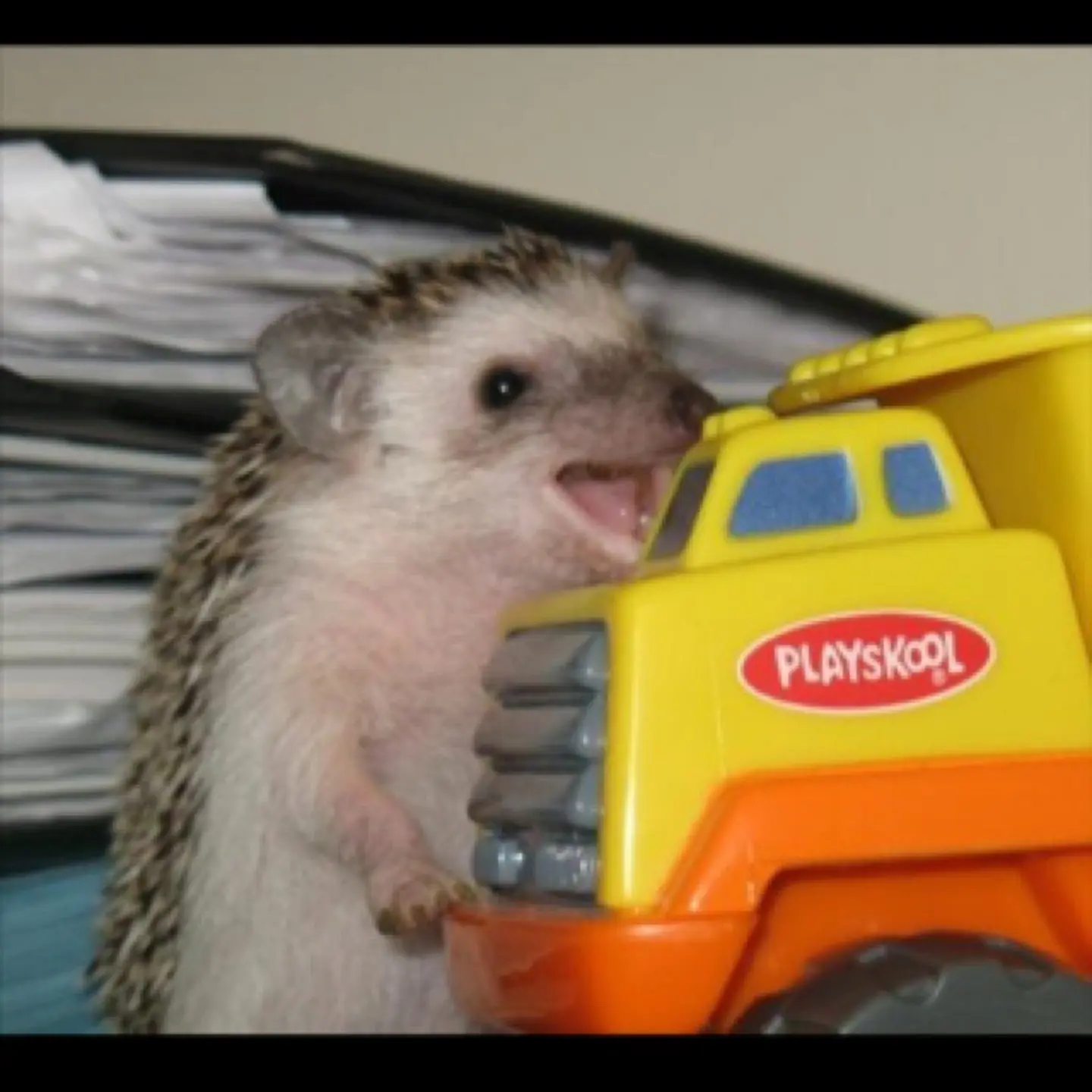 PrenATAl - Czas zacząć urlop (⌐ ͡■ ͜ʖ ͡■)