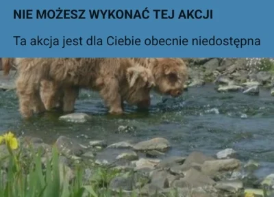 s.....i - fajnobaranek zamknął się w sb i odszedł paść się w samotności

no szkoda sz...