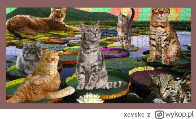 xevske - @xevske: 2:14 koniec