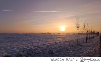 WLADCA_MALP - #dziendobry #zdjeciatarzana