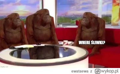 ewataewa - @Kulfonix: