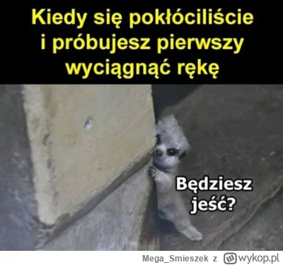 Mega_Smieszek - #heheszki #humorobrazkowy
