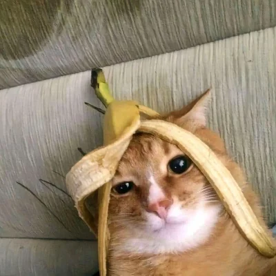 kolorowy_monochrom - @Van-der-Ledre: Taaa, zdjęcia typu XD