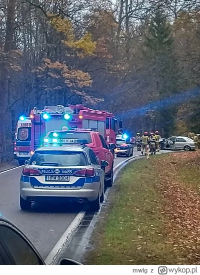 mwlg - @marjan1234: to na bank wczorajszy wypadek między Hajnówką a Białowieżą, stara...