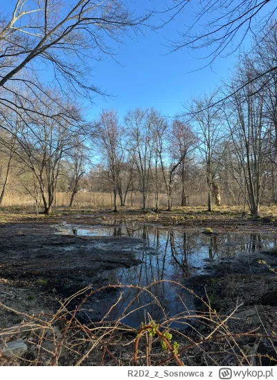 R2D2zSosnowca - @R2D2zSosnowca kwietniowe