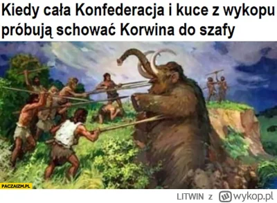 LITWIN - Ten mem z dnia na dzień nabiera wartości.