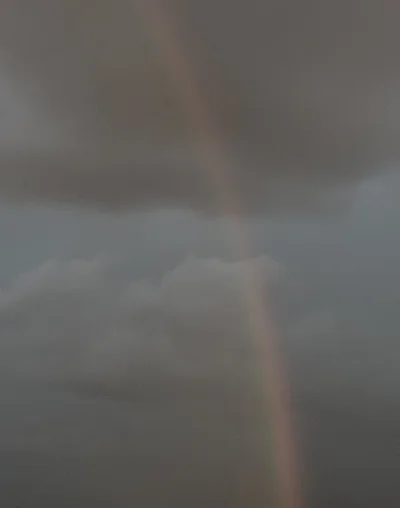 LeafWhisper - #przegryw ehhhh nawet natura już jest homoniewiadomo