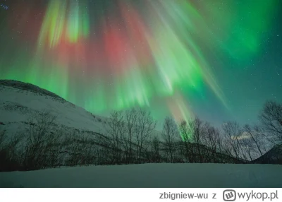 zbigniew-wu - Przyświeciło na sylwestra w Tromso. Sztorm magnetyczny trwa, była widoc...