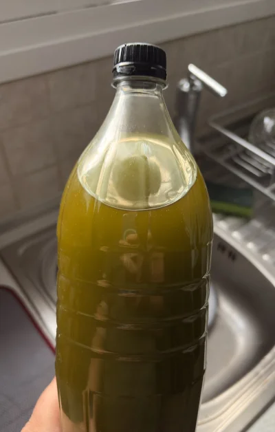 asdfghjkl - Pierwsza buteleczka oliwy ze zbioru w weekend ( ͡° ͜ʖ ͡°) lekko filtrowan...