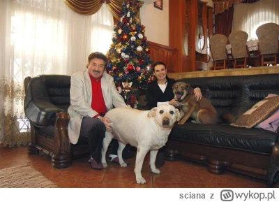 sciana - @Szczupix37: to ten sam pies?