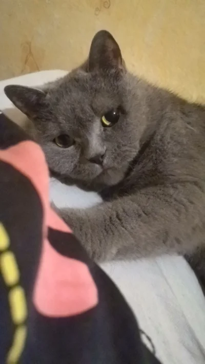 kr4wy - @Maczuga_Herkulesa18 Braciak