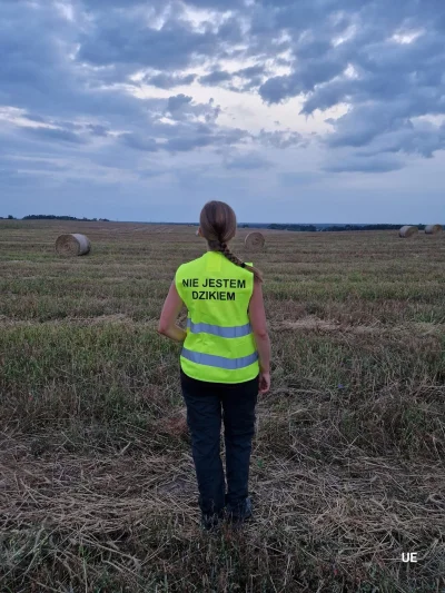 balatka - @niko444: @Kulfonix XD