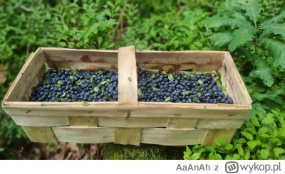 AaAnAh - @sonig też ostatnio byłem ( ͡º ͜ʖ͡º)