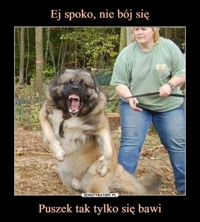 ApoIIo - > nie każdy pies jest na tyle agresywny że...

@Hazadeflux: Trzymaj sobie ps...