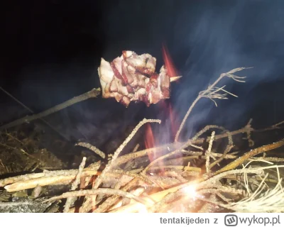 tentakijeden - @tentakijeden