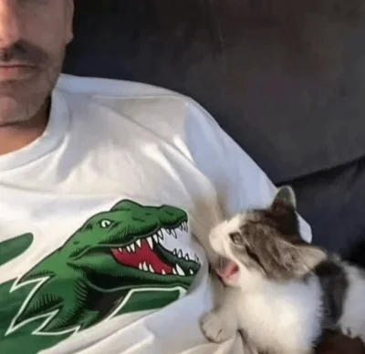 D.....n - #smutnekitku