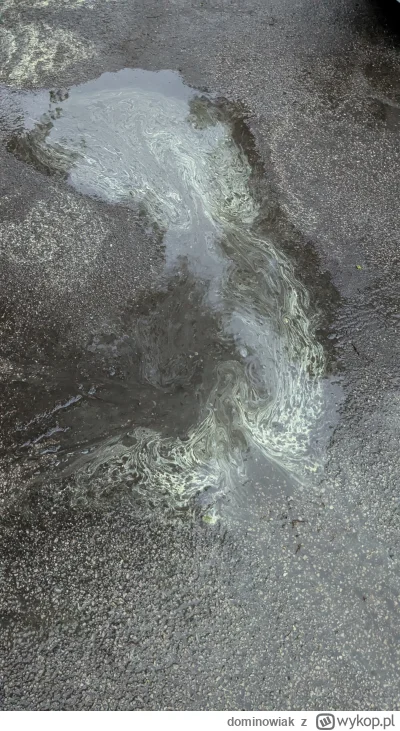 dominowiak - W Lublinie deszcz spłukuje chemtrails