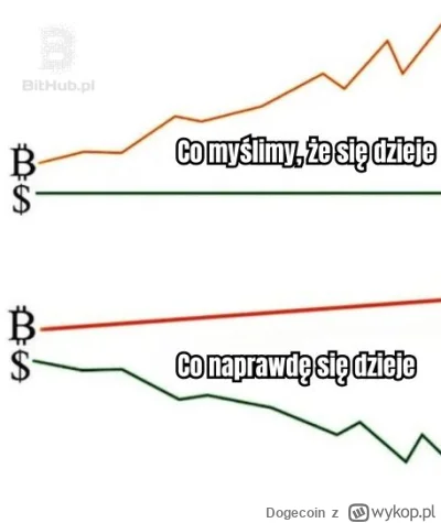 Dogecoin - To uczucie gdy zyjemy w czasach w ktorych wystarczy w dowolnej chwili ulok...