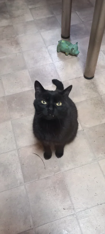 dosbadass - @wysuszonyszkieletkostnyczlowieka: w styczniu usuwalem mojemu kamien na z...