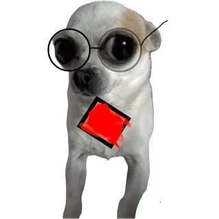 piotr-chola - Czy to normalne że mój pies gada po hiszpańsku