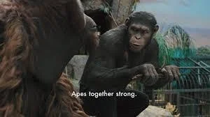 Pelit - wykop to czysty chaos, czasem bez powodu pomoze, czasem bez powodu wyzwie ( ͡...