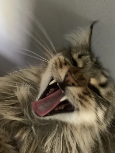 crazykombajn - @Meciek: zarazaa