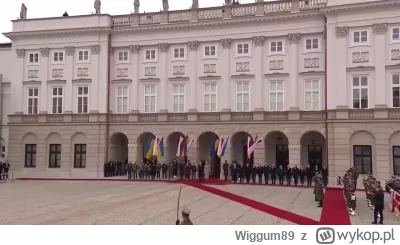 Wiggum89 - Historyczny i wzruszający moment! #polska #ukraina #wojna