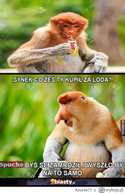 Azorek77 - #konkursnanajbardziejgownianymemznosaczem