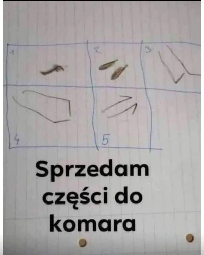 beriam - ¯\(ツ)/¯

#humorobrazkowy #komary
#heheszki #motoryzacja