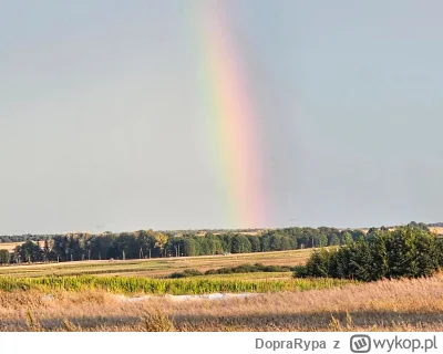 DopraRypa - 632 359 + 70 = 632 429

Do Chełma i z powrotem.

#rowerowyrownik

Skrypt ...