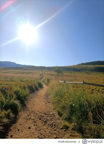 makulaumar - A może by tak rzucić wszystko...
#podrozujzwykopem #bieszczady #gory