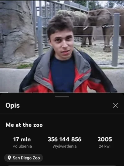 kanguru - 20 lat temu opublikowano pierwszy filmik na youtube #youtube #gownowpis #in...