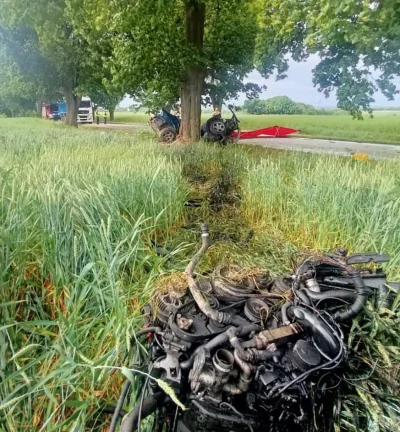 jfrost - Podziękujmy temu pięknemu drzewu, za przyjęcie na siebie zadania oczyszczeni...