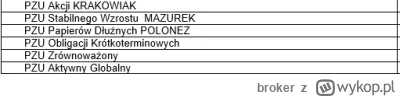 broker - Coś takiego jest do wyboru w ramach PPE, horyzont czasowy 25 lat do emerytur...