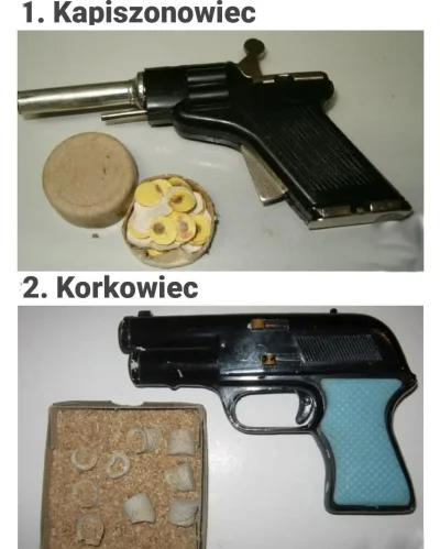 wojtoon - @Szyszkalogin 
Na odpustach kozakiem byłeś jak miałeś korkowca, a najlepiej...