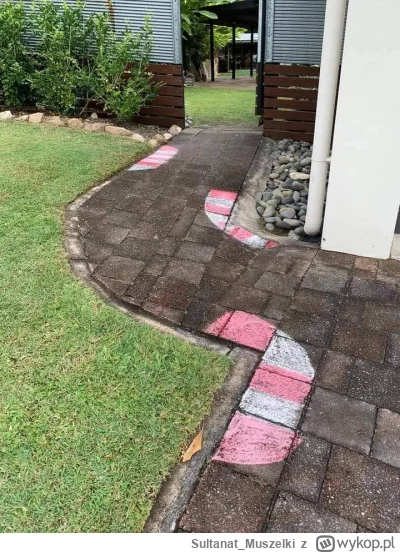 Sultanat_Muszelki - To już prawie tydzień i zaczyna brakować wyścigów ????

#f1