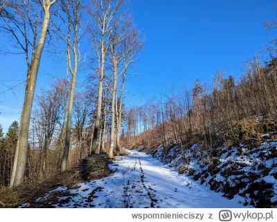 wspomnienieciszy - Dalej #zima w#gory sowie. "Szklanka" na szlakach.
20250305
#sudety...