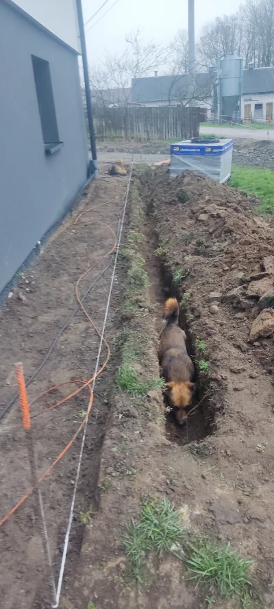 MamByleJakiNick - Kontrola wykopu na światłowód w trakcie szukania do czego by się tu...