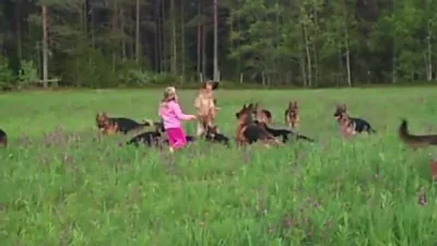 modeltrzyzmianowy - Dziewczynka brutalnie rozszarpana przez owczarki
#psiarze #bekaz...