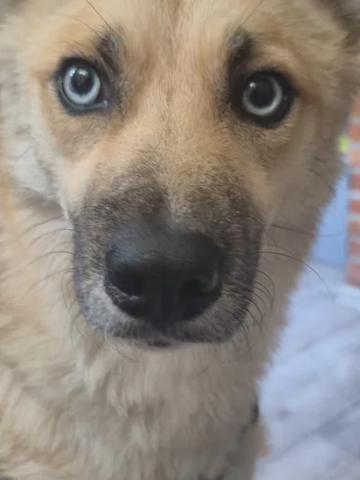 sasaski - @sasaski za dnia pięknością w nocy zaś słodkością